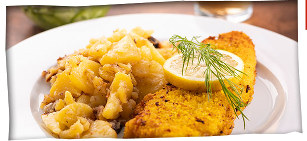 banner-mittag1.jpg
